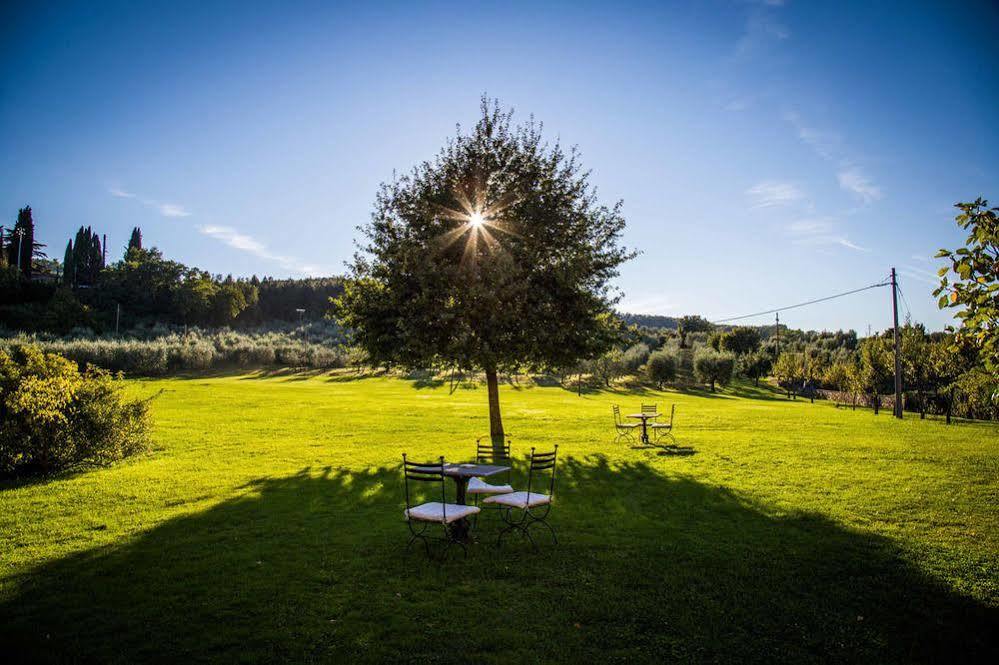 Hotel Campestri Olive Oil